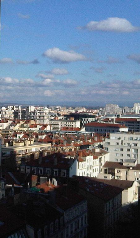 Bureau Lyon 1095m² Location bureau Lyon Rhône OLBUR2207298 9